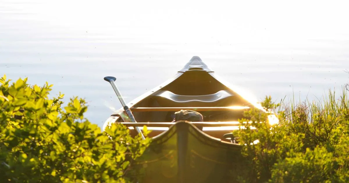 Conseils d'entretien et d'optimisation de votre cave à vin