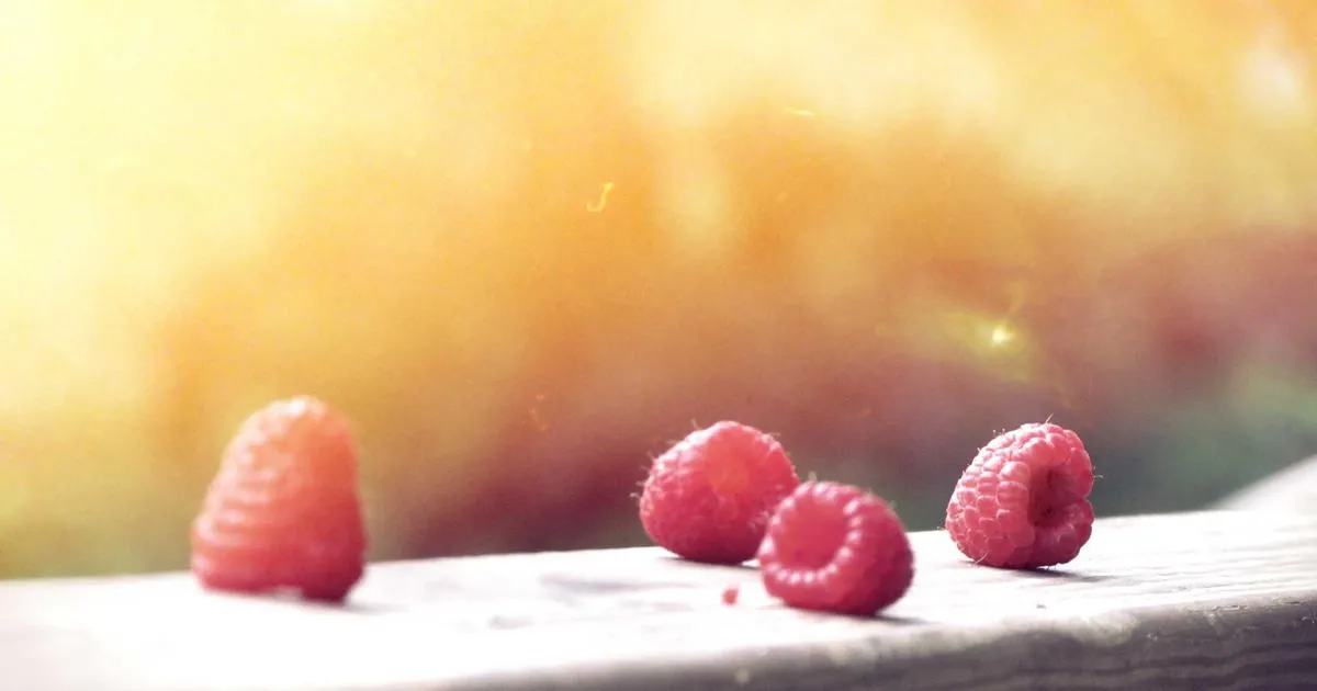 par quoi remplacer la creme fraiche